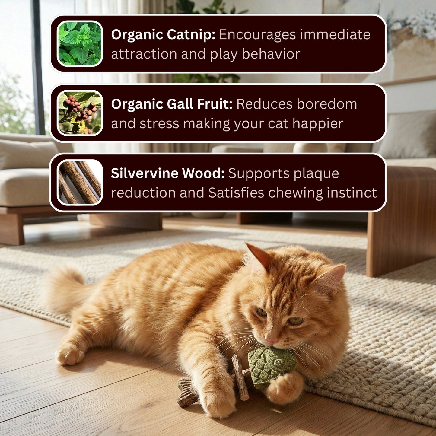 🎁 Catnip & Silvervine Chew Toy for Indoor Cats | Natural Fish-Shaped Cat Toy with Catnip, Silvervine Wood & Gall Fruit | Keeps Bored Cats Busy, Curious & Playfully Engaged