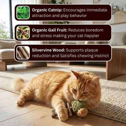 🎁 Catnip & Silvervine Chew Toy for Indoor Cats | Natural Fish-Shaped Cat Toy with Catnip, Silvervine Wood & Gall Fruit | Keeps Bored Cats Busy, Curious & Playfully Engaged